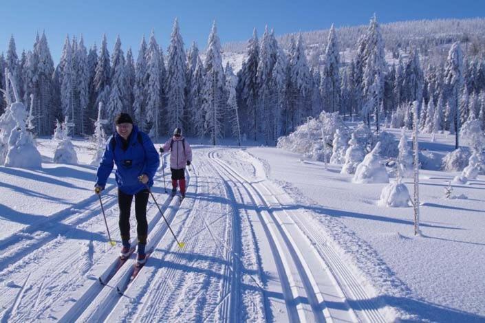 Dum A Chatka Pod Smrkem Nove Mesto pod Smrkem Eksteriør bilde